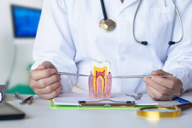 Best Emergency Care for Gum Disease in Woodland Park, NE